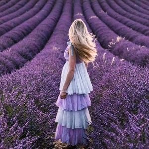 Meet your Posher, Lilac lane